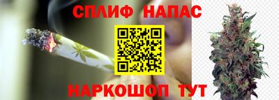 крисы Будённовск