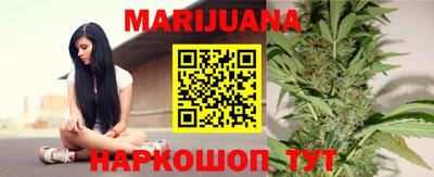 крисы Будённовск